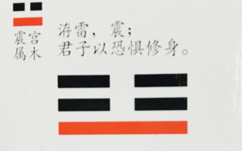 震卦