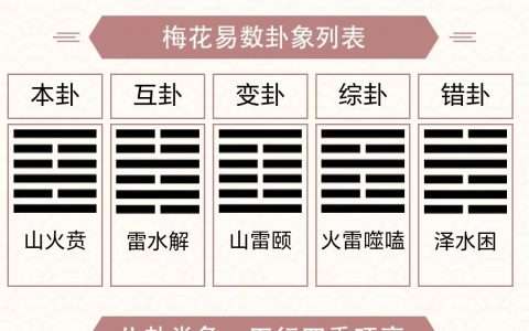 【24-09-28】到底是不是鱼刺惹的祸？