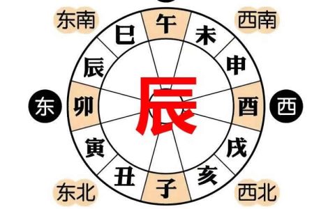地支辰
