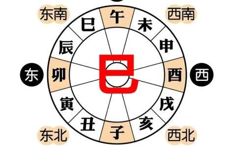 地支巳
